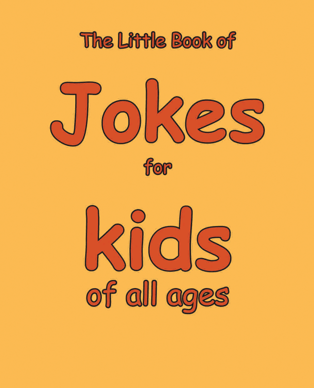 small children's joke book