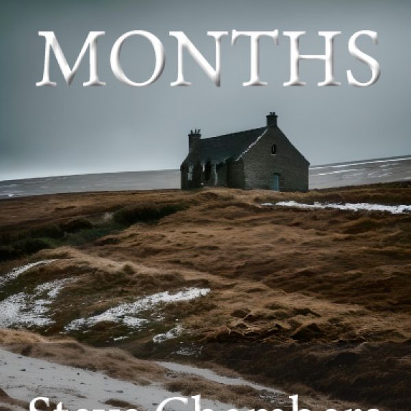 The Dark Months by Steve Chambers £9.99